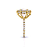 Ivana Jewels Rings Accented Engagement Ring