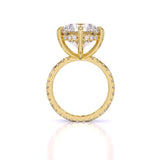 Ivana Jewels Rings Accented Engagement Ring