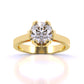 1 Carat Golden Promise