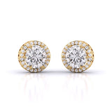 Ivana Jewels Earrings Yellow Gold / 14KT Diamond Sparkler Studs